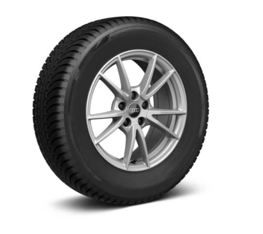 Rad, 5-Doppelspeichen 7,0Jx19, Winterreifen 235/55 R19 105H XL, links