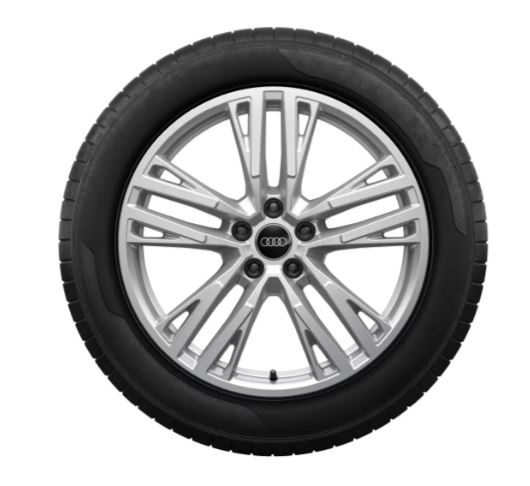Rad, 5-Doppel-Y-Speichen 8,0Jx19, Winterreifen 245/40 R19 98H XL