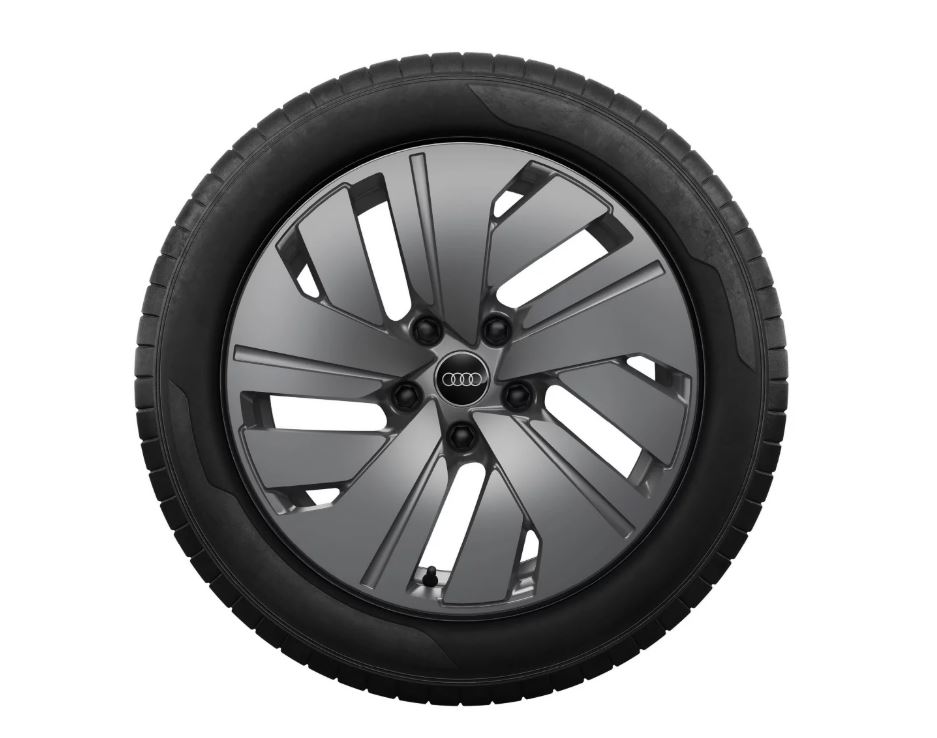 Rad, 5-Arm-Dynamik platingrau, 8,5Jx19, Winterreifen 245/50 R19 105H XL
