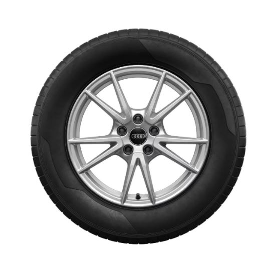 Rad, 5-Doppelspeichen 7,5Jx17, Winterreifen 215/55 R17 98H XL