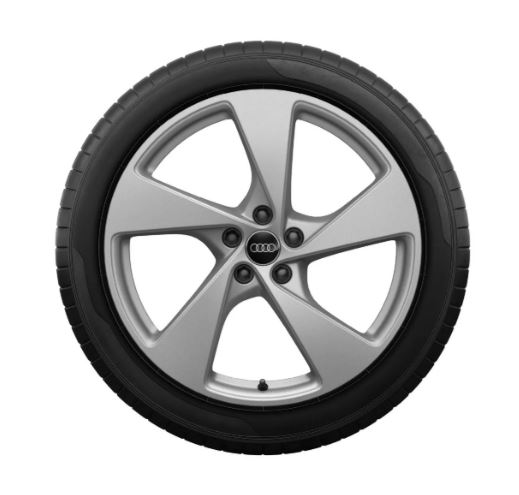 Rad, 5-Arm galvanosilber metallic, 8,0Jx20, Winterreifen 255/50 R20 105V XL